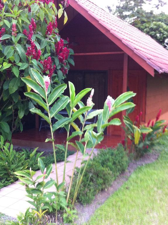 Hotel Villas Vista Arenal La Fortuna Exterior photo