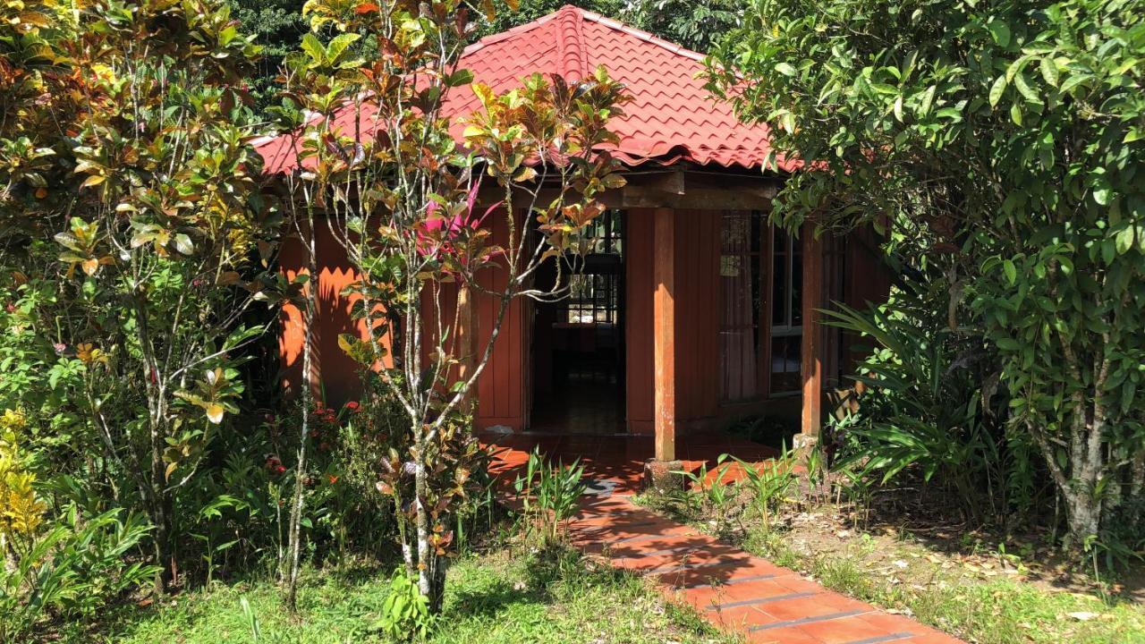 Hotel Villas Vista Arenal La Fortuna Exterior photo